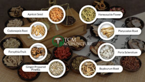 Tcm-acupuncture-Miami-body-mind-spirit-Treatment-Cupping treatment-Infertility treatment- Gua Sha treatment-Tui Na treatment-Herbal Medicine-Moxa Treatment- Skin Disease Treatment- Meditation & more- Tai JI/ Tai Chi